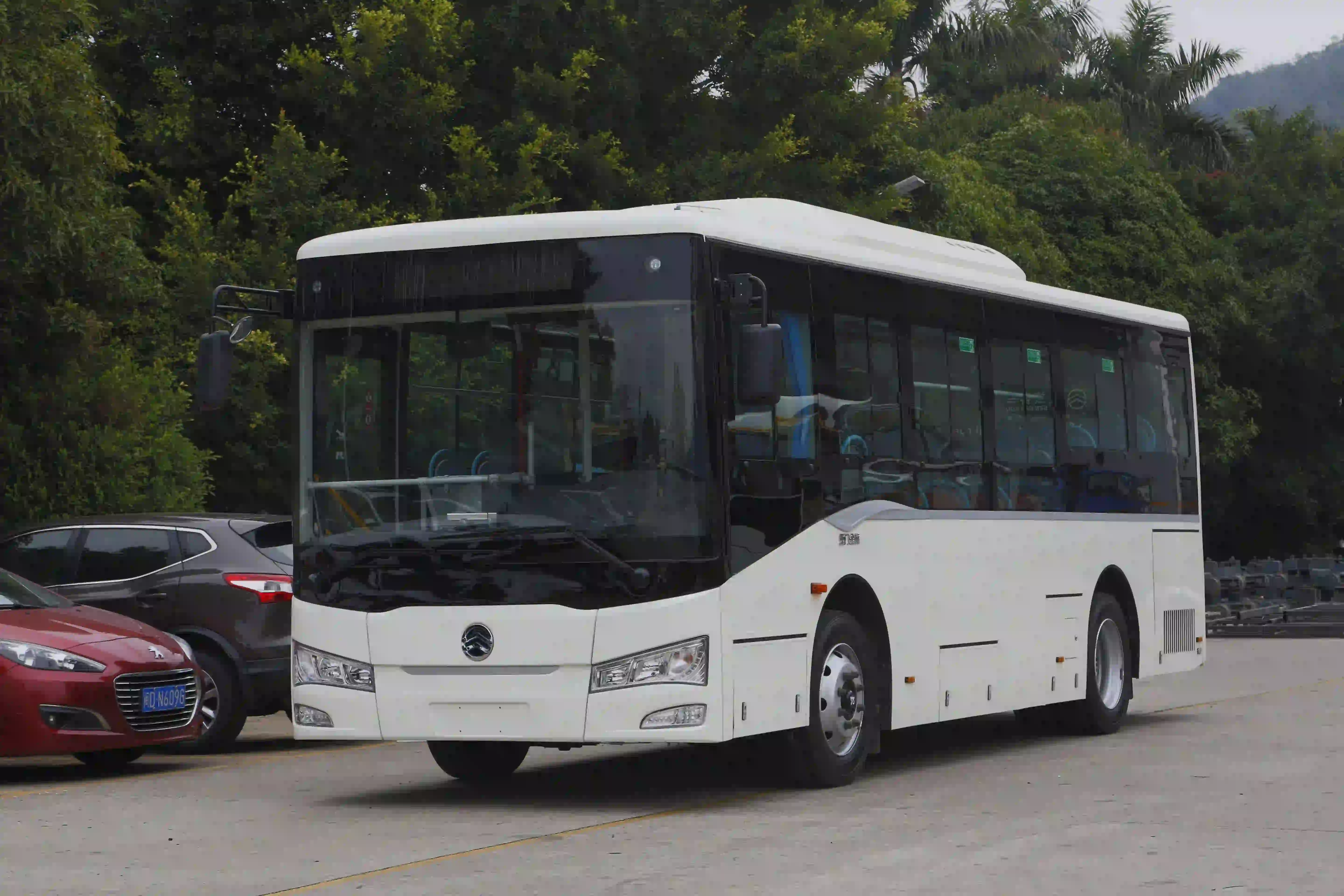XML6845.D
